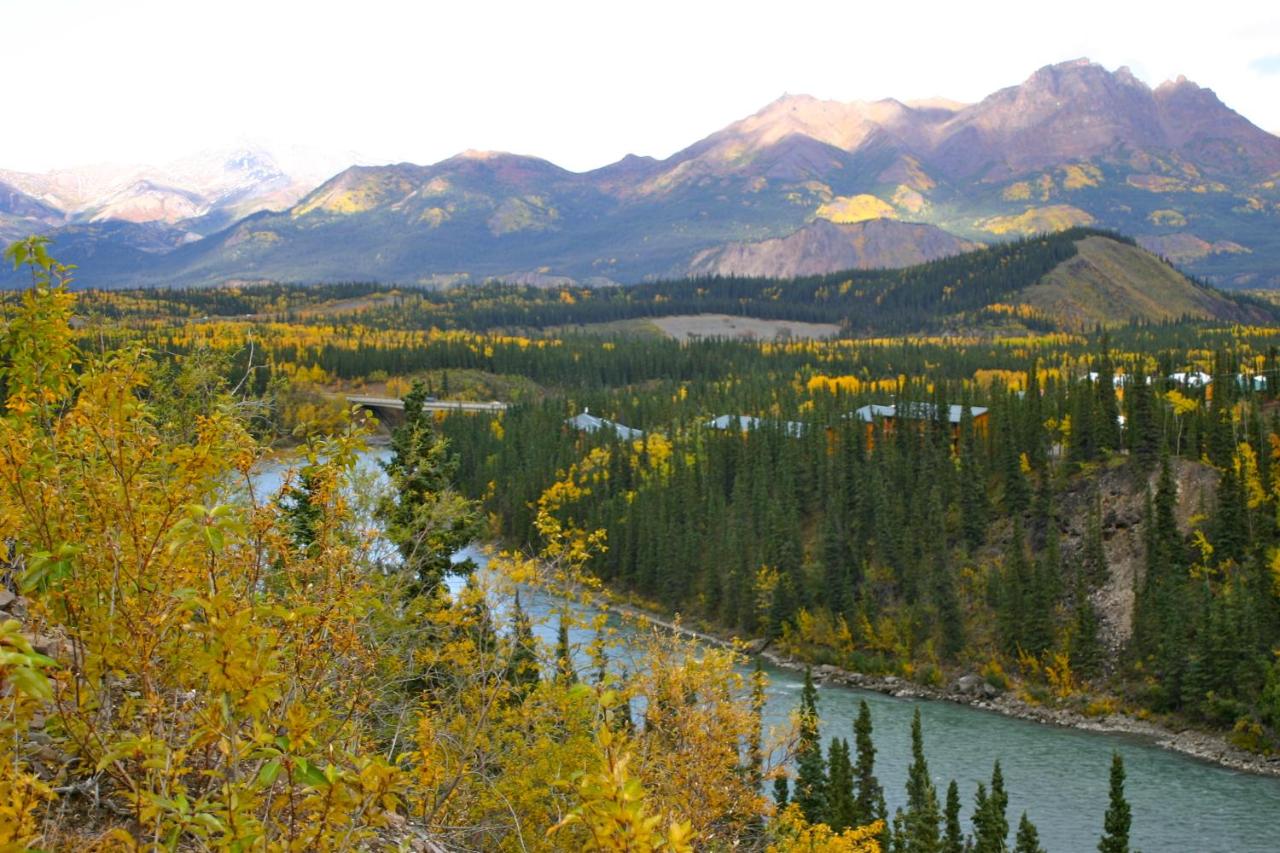  | Denali Grizzly Bear Resort