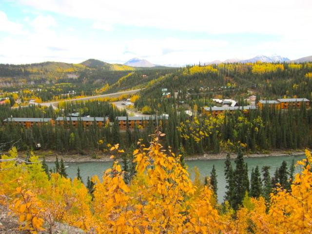 | Denali Grizzly Bear Resort