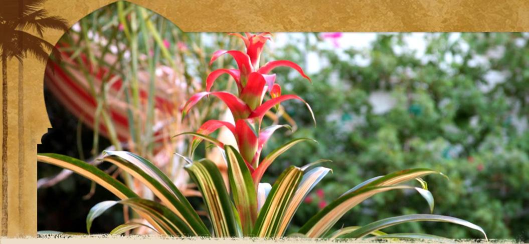 | El Morocco Inn & Spa