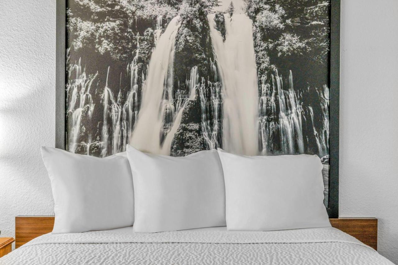 Queen Room - Non-Smoking at Super 8 by Wyndham Arcata