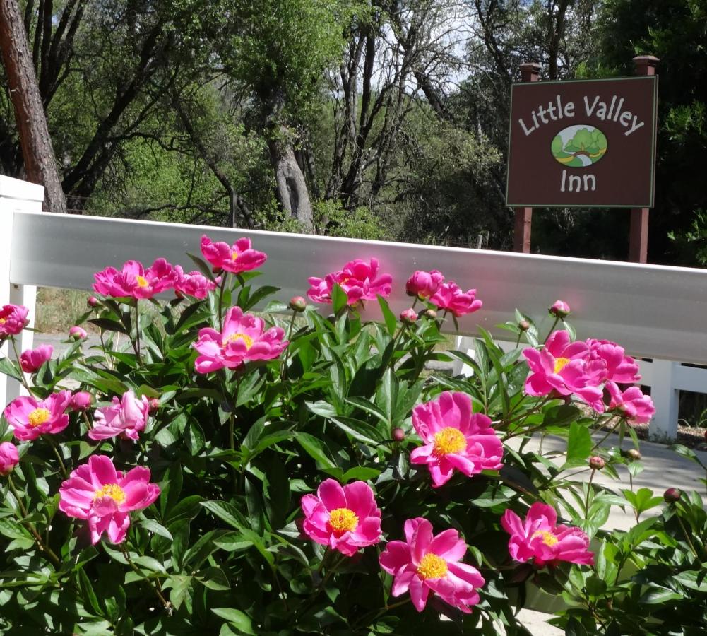 | Little Valley Inn