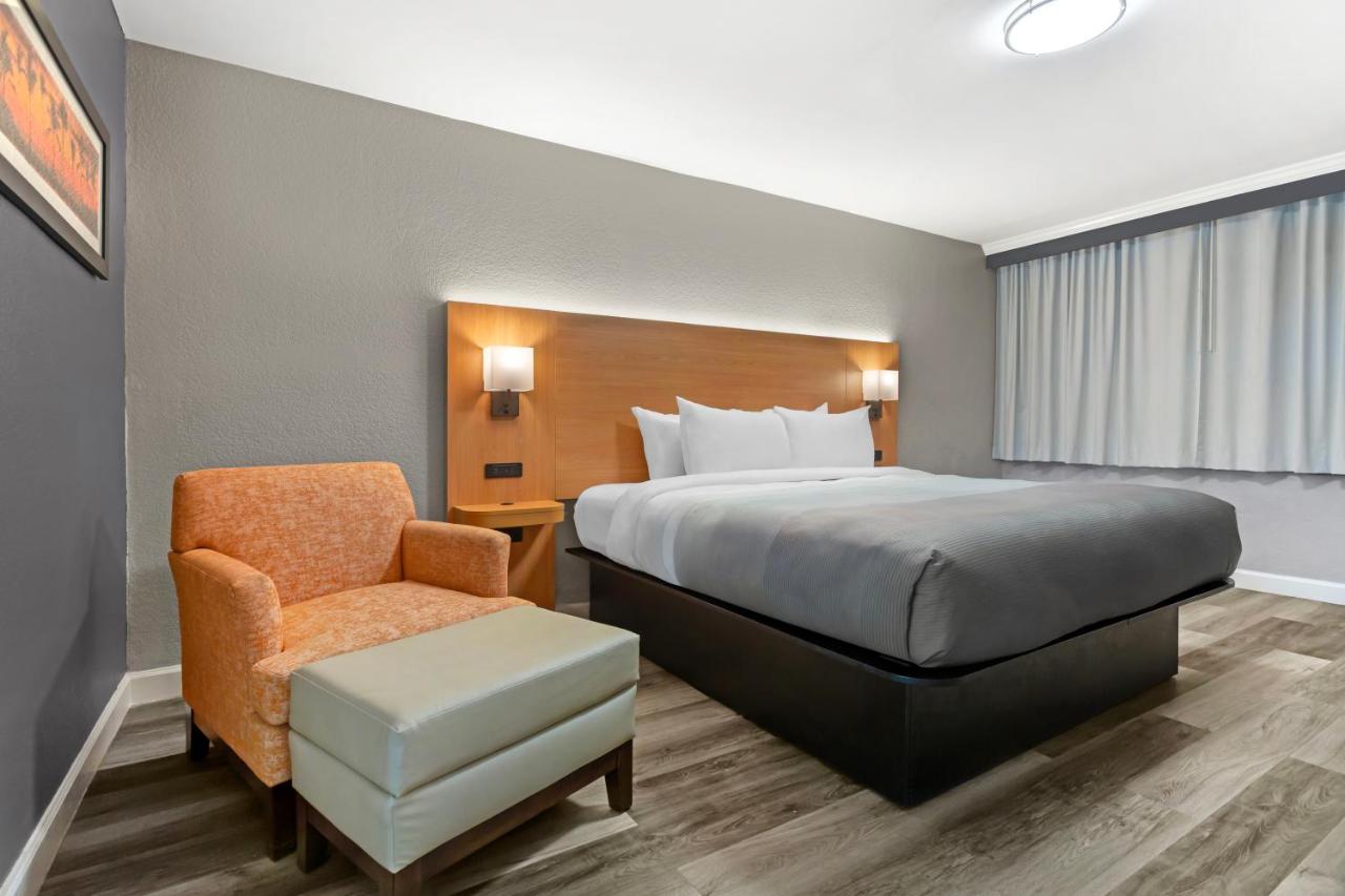 Deluxe King Room at Quality Inn and Conference Center Tampa-Brandon