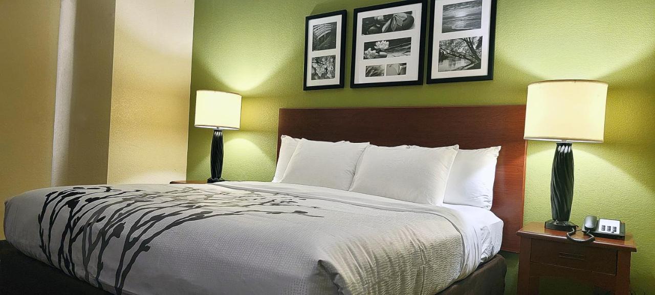 King Room - Non-Smoking at Sleep Inn Near Ft Jackson
