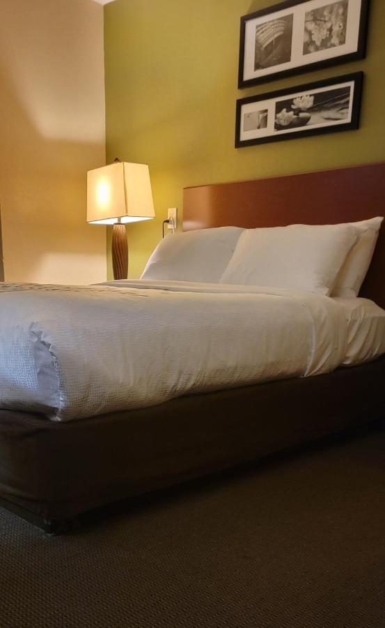 Queen Room - Accessible/Nonsmoking at Sleep Inn Near Ft Jackson