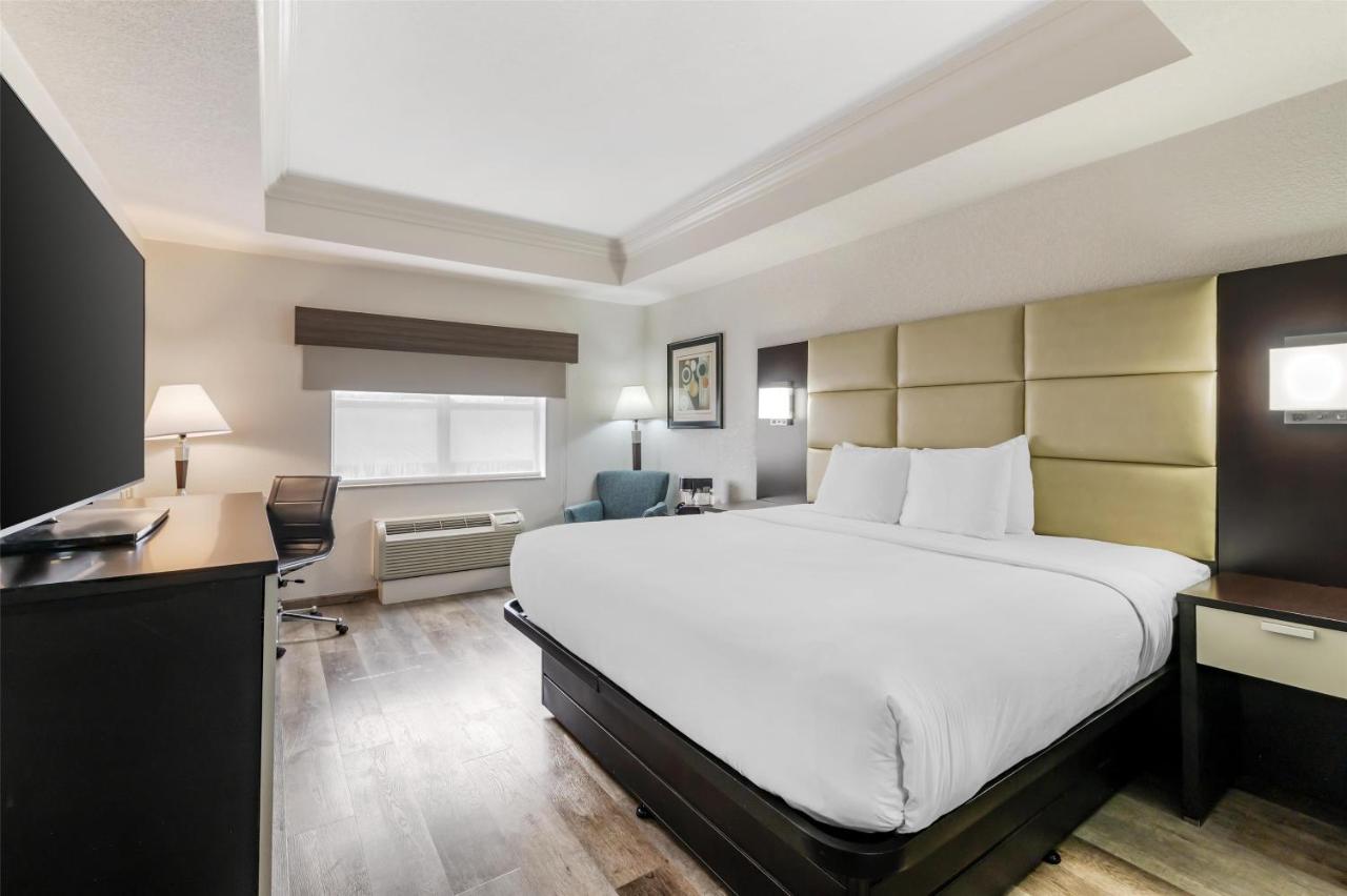 King Room with Roll-in Shower - Disability Access - Non smoking at Best Western Plus JFK Inn & Suites