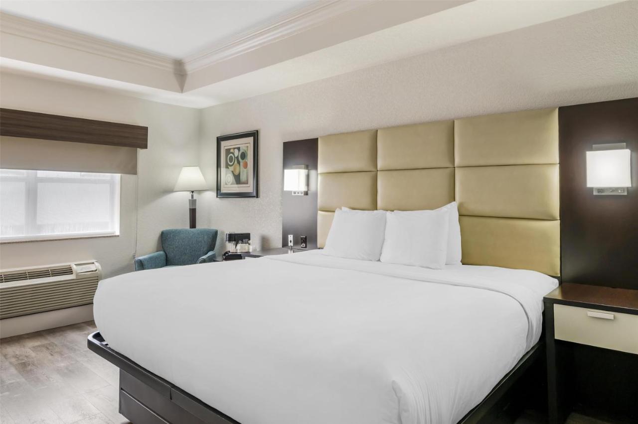 King Room with Roll-in Shower - Disability Access - Non smoking at Best Western Plus JFK Inn & Suites