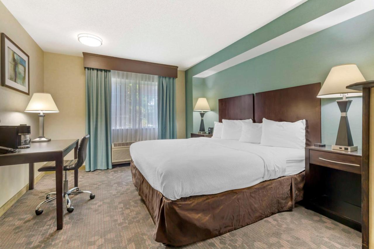 King Suite - Non-Smoking at Best Western Plus Berkshire Hills Inn & Suites
