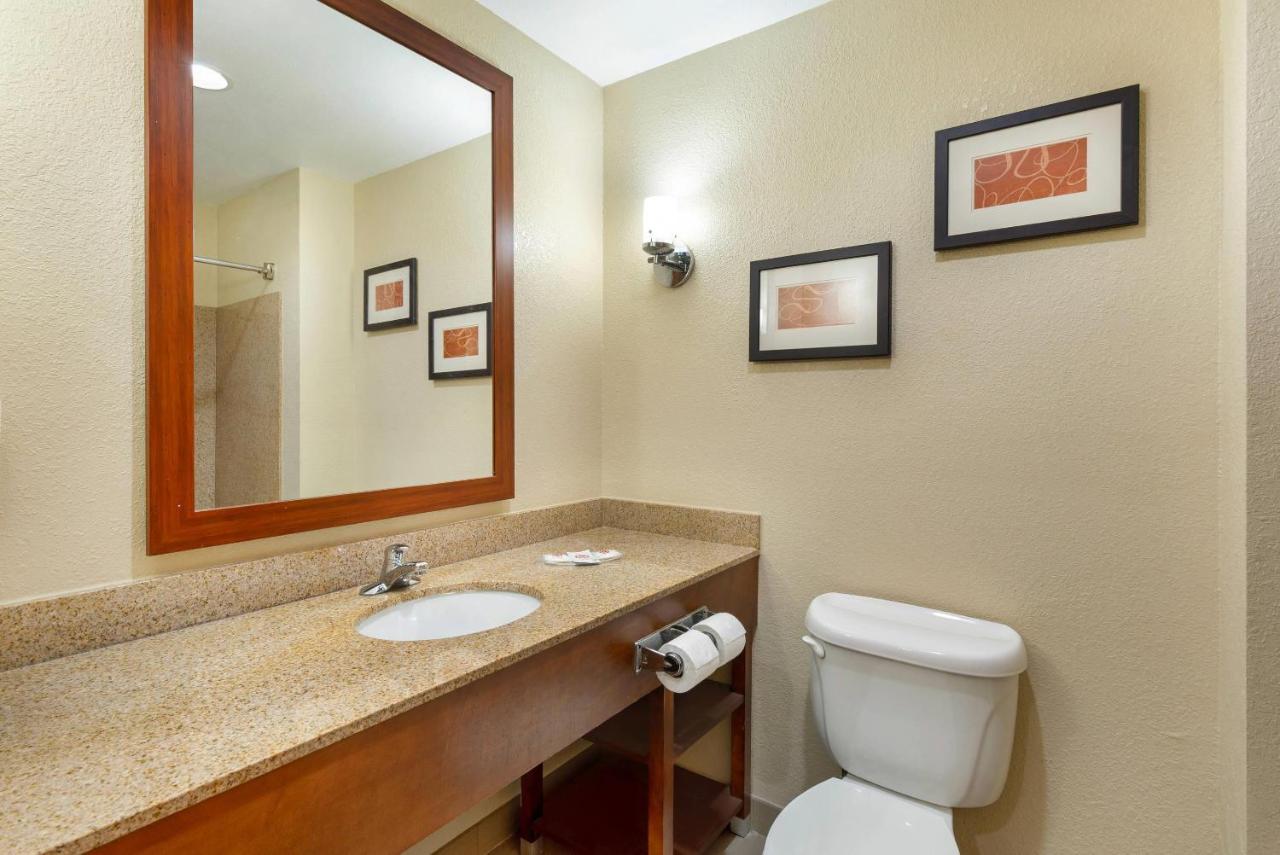 King Suite - Non-Smoking at Comfort Suites Oxford I-20 exit 188