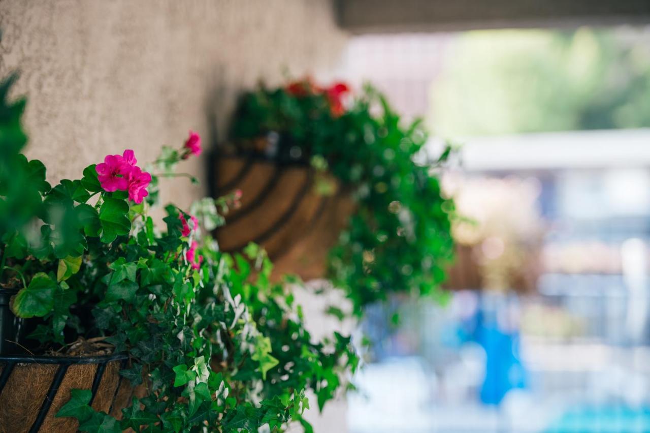 | Alpine Inn near Convention Center and the Park
