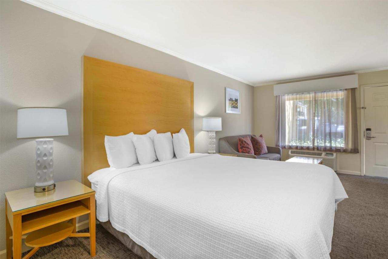 King Room with Roll In Shower-Disabilty Access at Best Western Plus Dixon Davis
