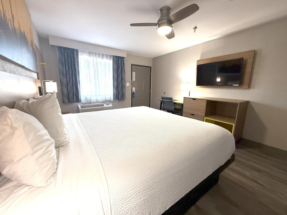 Deluxe King with Walk-In Shower - Non Pet Friendly at Days Inn by Wyndham Yuma