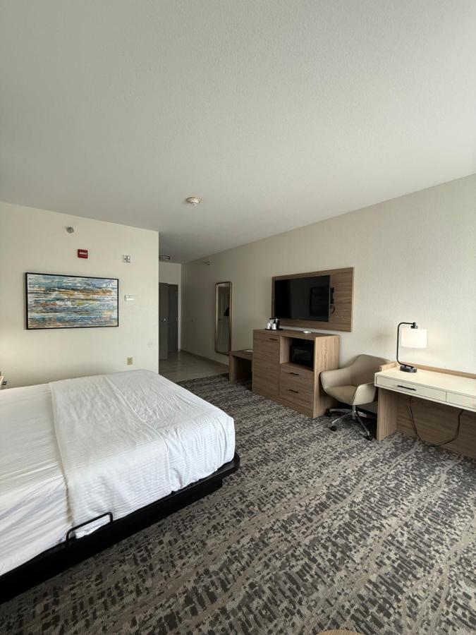 Deluxe King Room with Mobility/Hearing Impaired Access - Non-Smoking at La Quinta Inn & Suites by Wyndham Searcy