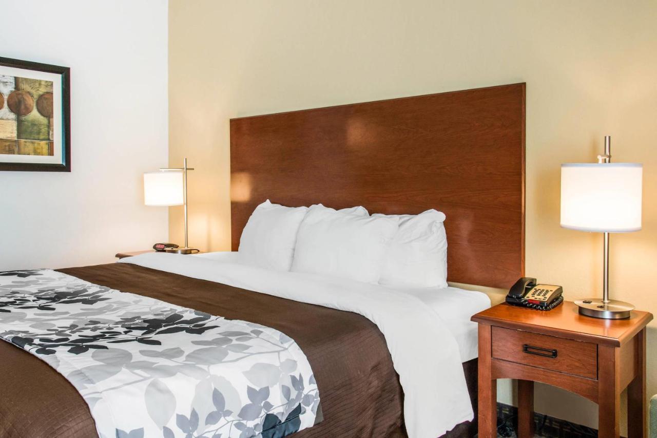 King Room at Sleep Inn & Suites Pooler - Savannah Area