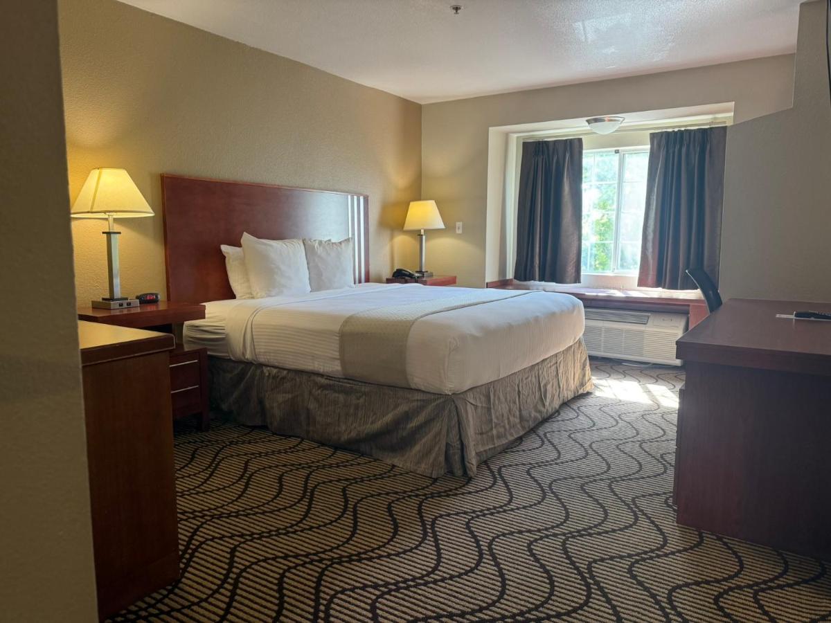 King Suite with Sofa Bed - Non-Smoking at SureStay Plus Hotel by Best Western Rocklin