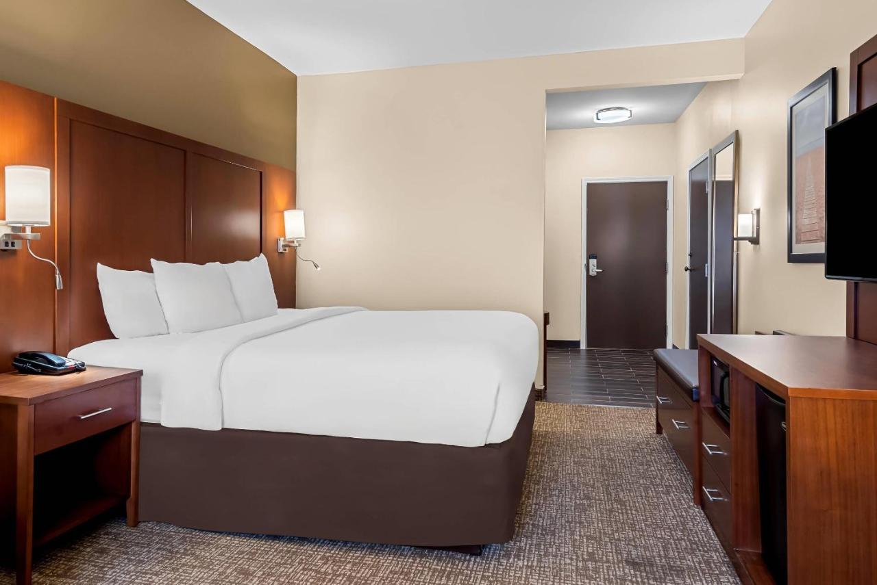 King Suite - Non-Smoking at Comfort Suites near Camp Lejeune