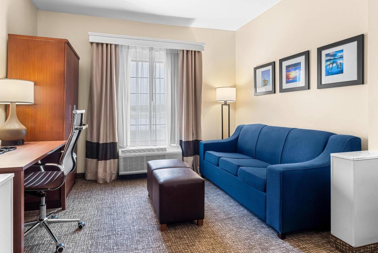 King Suite - Non-Smoking at Comfort Suites near Camp Lejeune