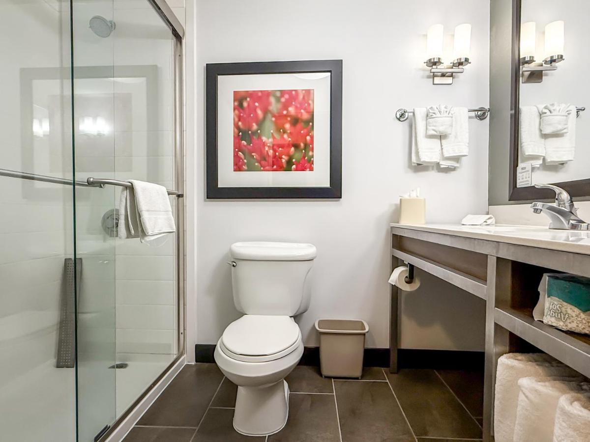 King Room at Hilton Garden Inn Gilroy