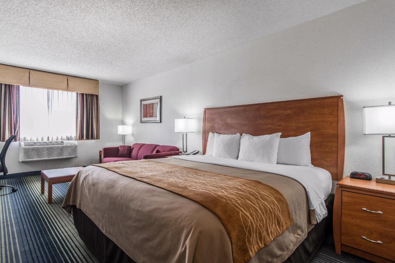 King Room with Sofa-Bed- Non-Smoking at Quality Inn Denver Westminster