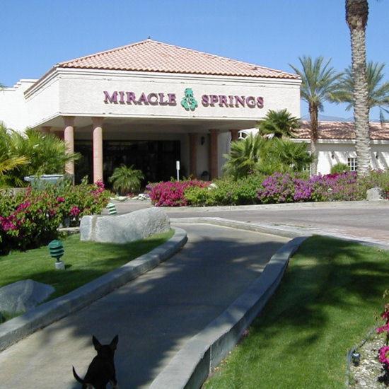 Queen Queen Poolside at Miracle Springs Resort & Spa
