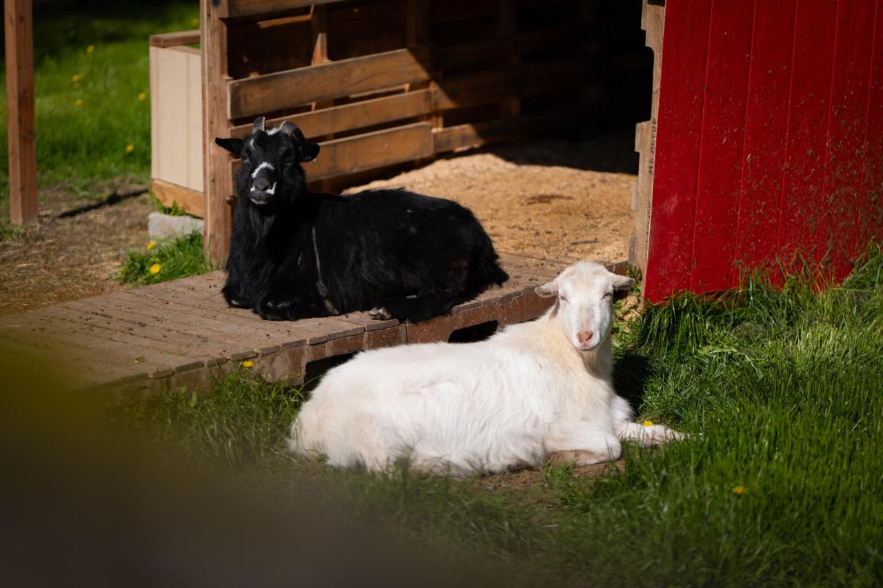 | Wildwood Farm Bed & Breakfast