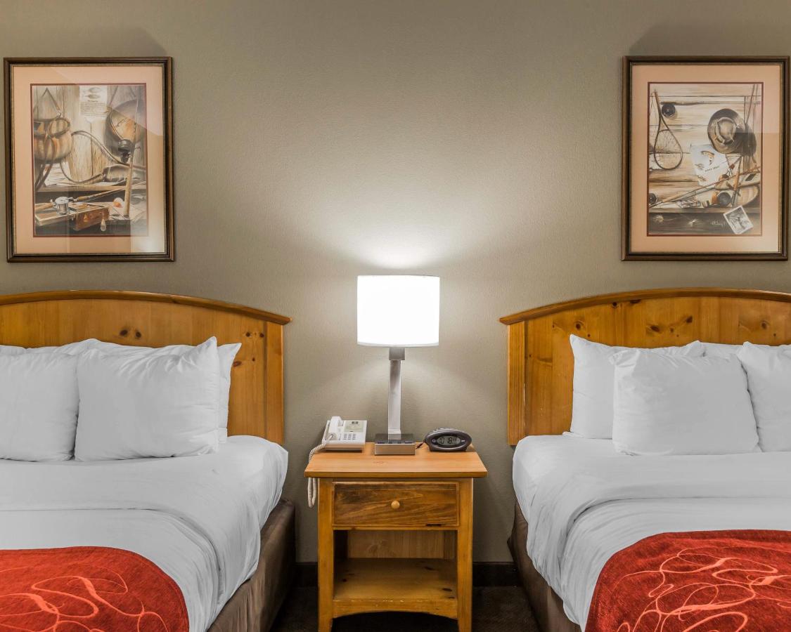 Queen Suite with Two Queen Beds - Non-Smoking at Comfort Suites Boone - University Area