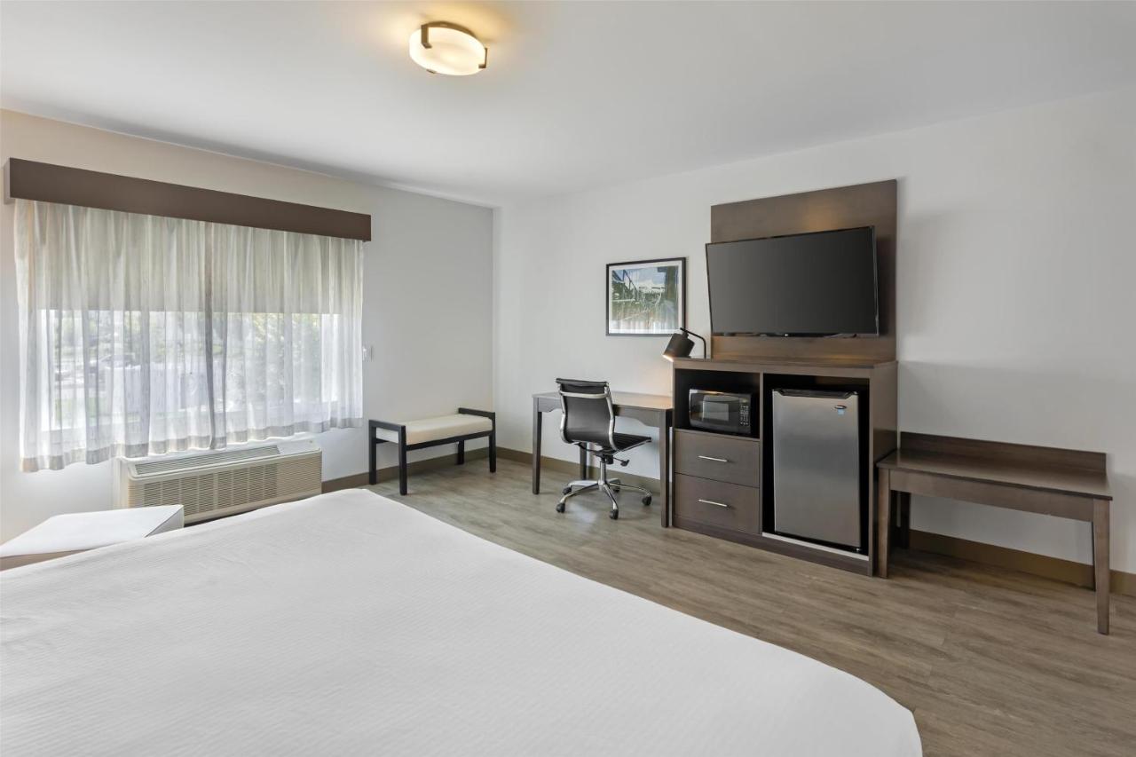 King Room at Best Western Plus Hershey