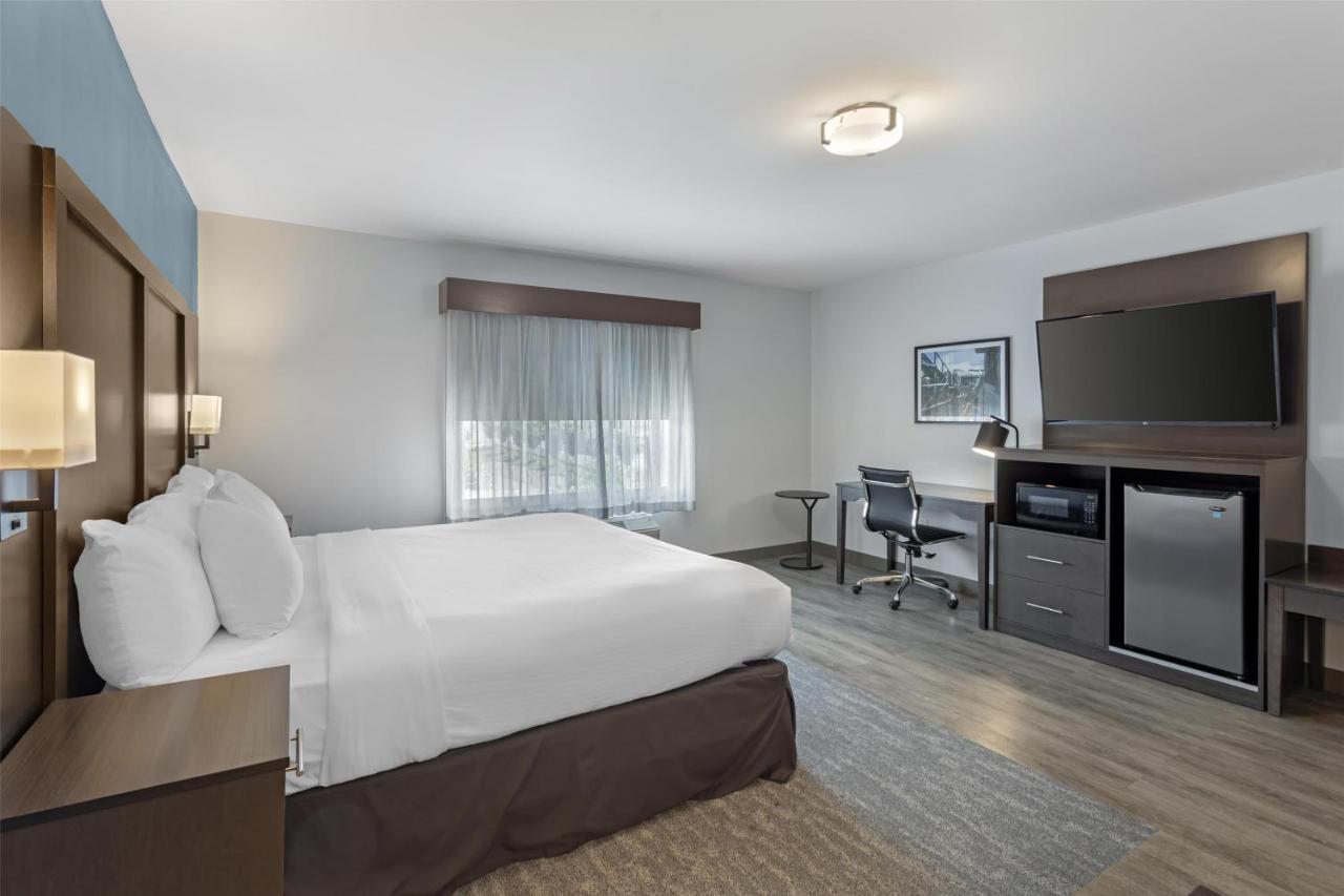 King Room with Sofabed - Shower Only at Best Western Plus Hershey