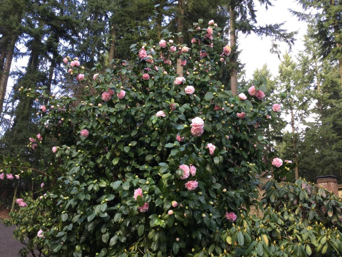 | A Cascade View Bed And Breakfast