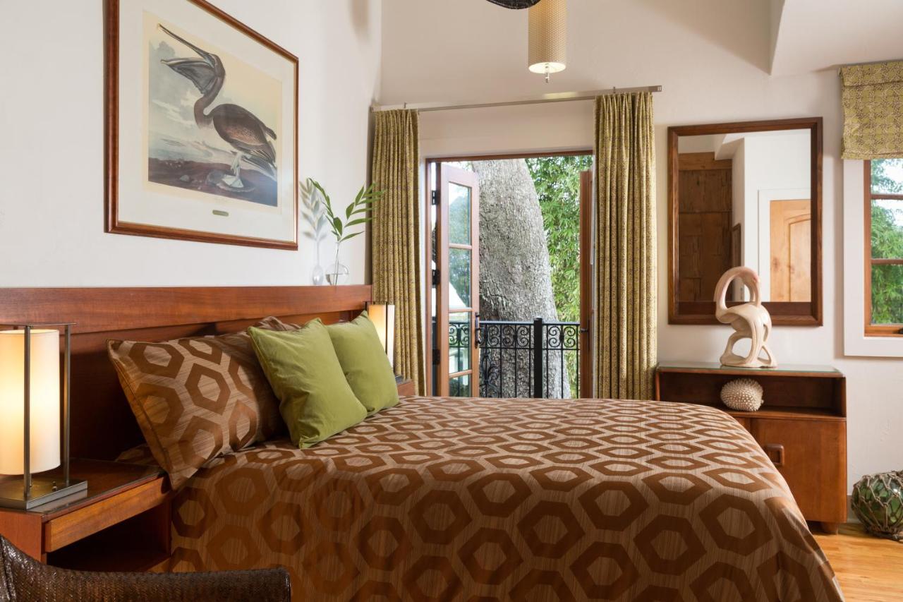 | Black Dolphin Inn