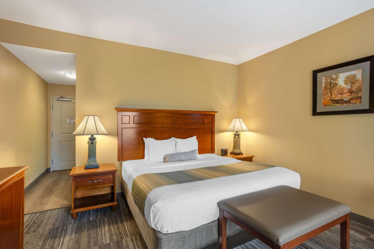  | Best Western Plus University Park Inn & Suites