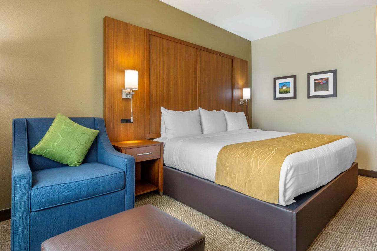 Standard King Room - Non-Smoking  at Comfort Inn & Suites Lakewood by JBLM