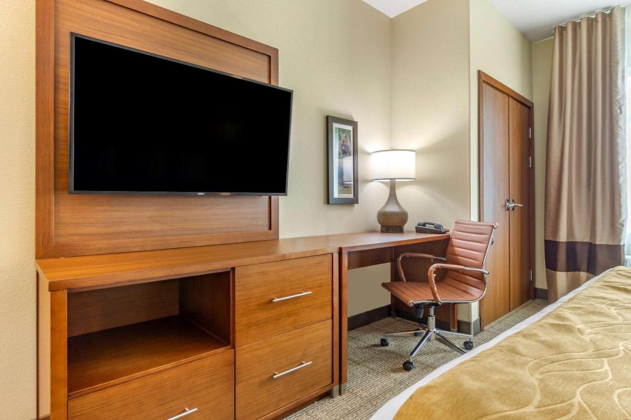 Standard King Room - Non-Smoking  at Comfort Inn & Suites Lakewood by JBLM