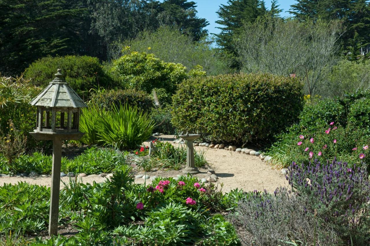 | Seal Cove Inn