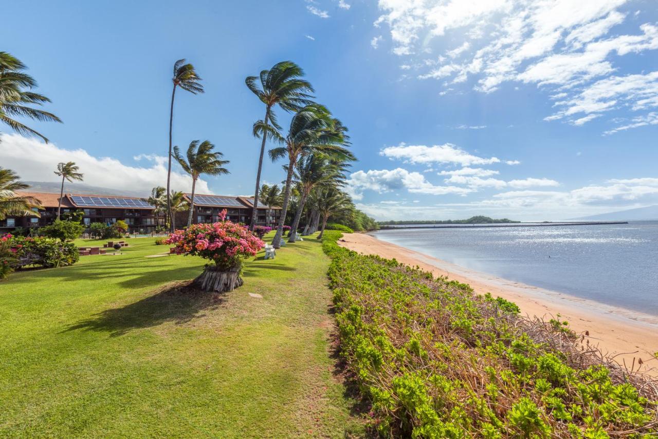 | Castle Molokai Shores