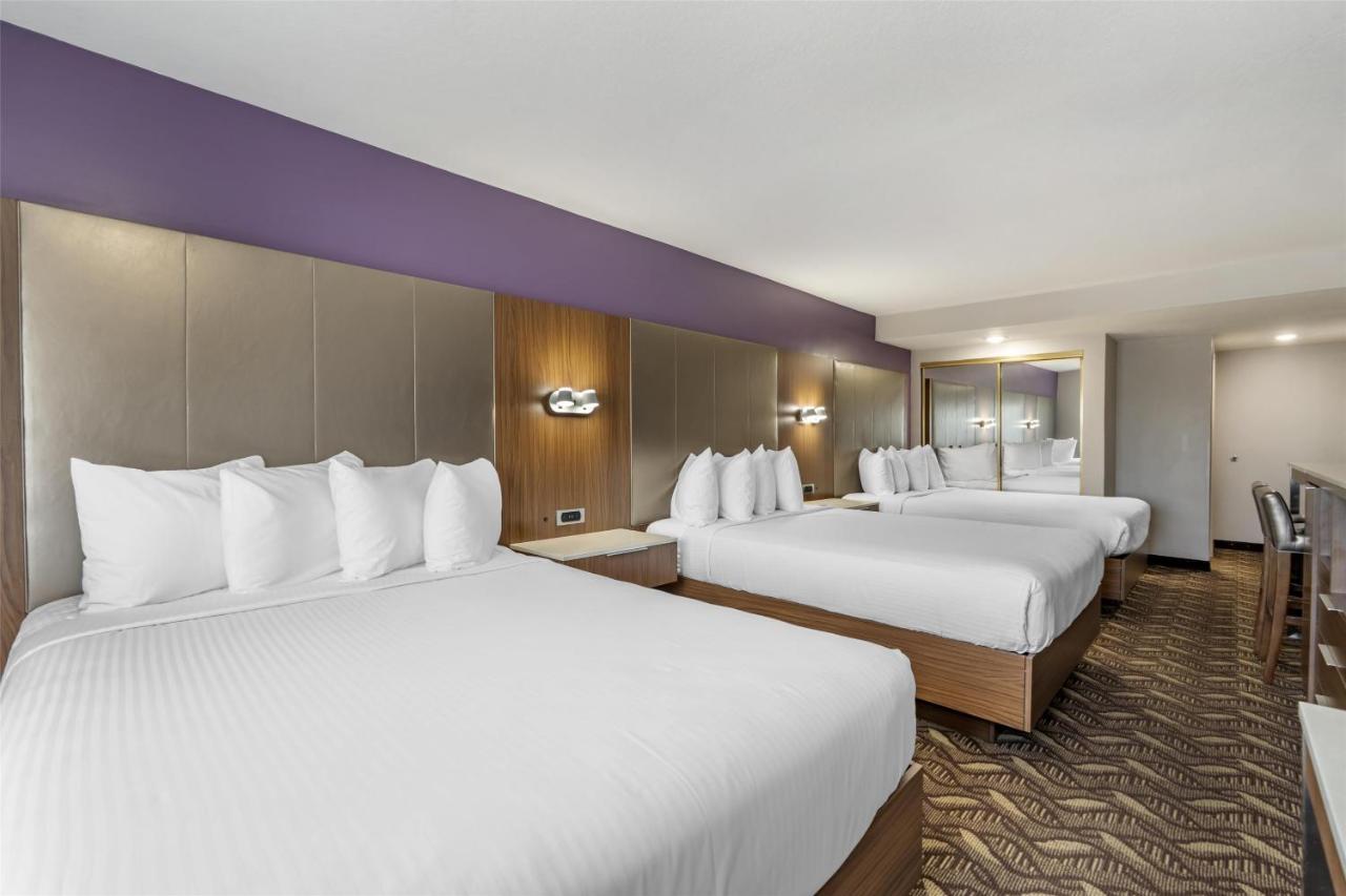 | Best Western Airport Plaza Inn - Los Angeles LAX Airport