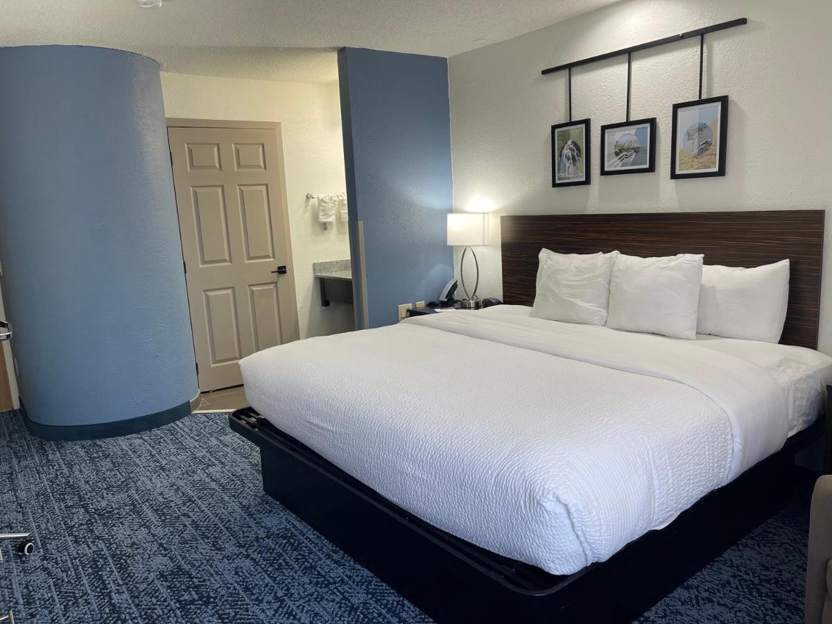 King Room - Non-Smoking at Sleep Inn Hanes Mall