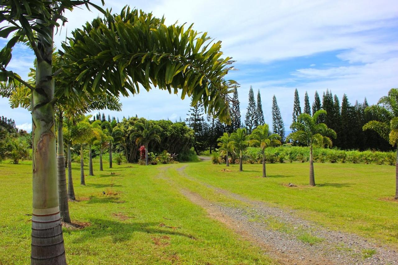 | Mahana House Country Inn