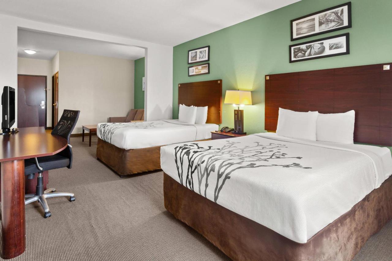 Queen Suite with Two Queen Beds and Sofa-Bed - Non Smoking at Sleep Inn & Suites Bush Intercontinental - IAH East