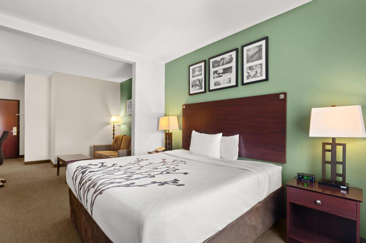 King Suite with Sofa Bed - Non Smoking at Sleep Inn & Suites Bush Intercontinental - IAH East