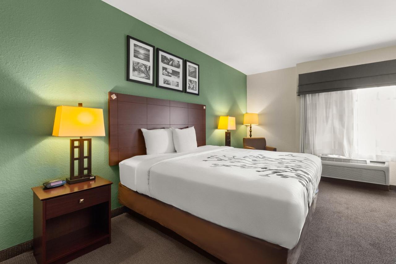 Standard King Room - Non Smoking at Sleep Inn & Suites Bush Intercontinental - IAH East