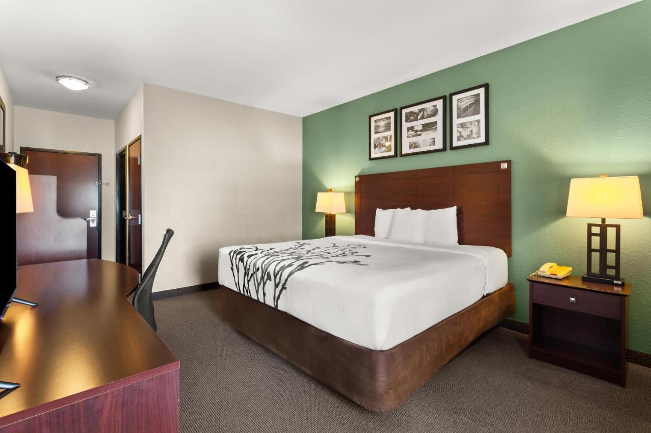 Standard King Room - Non Smoking at Sleep Inn & Suites Bush Intercontinental - IAH East