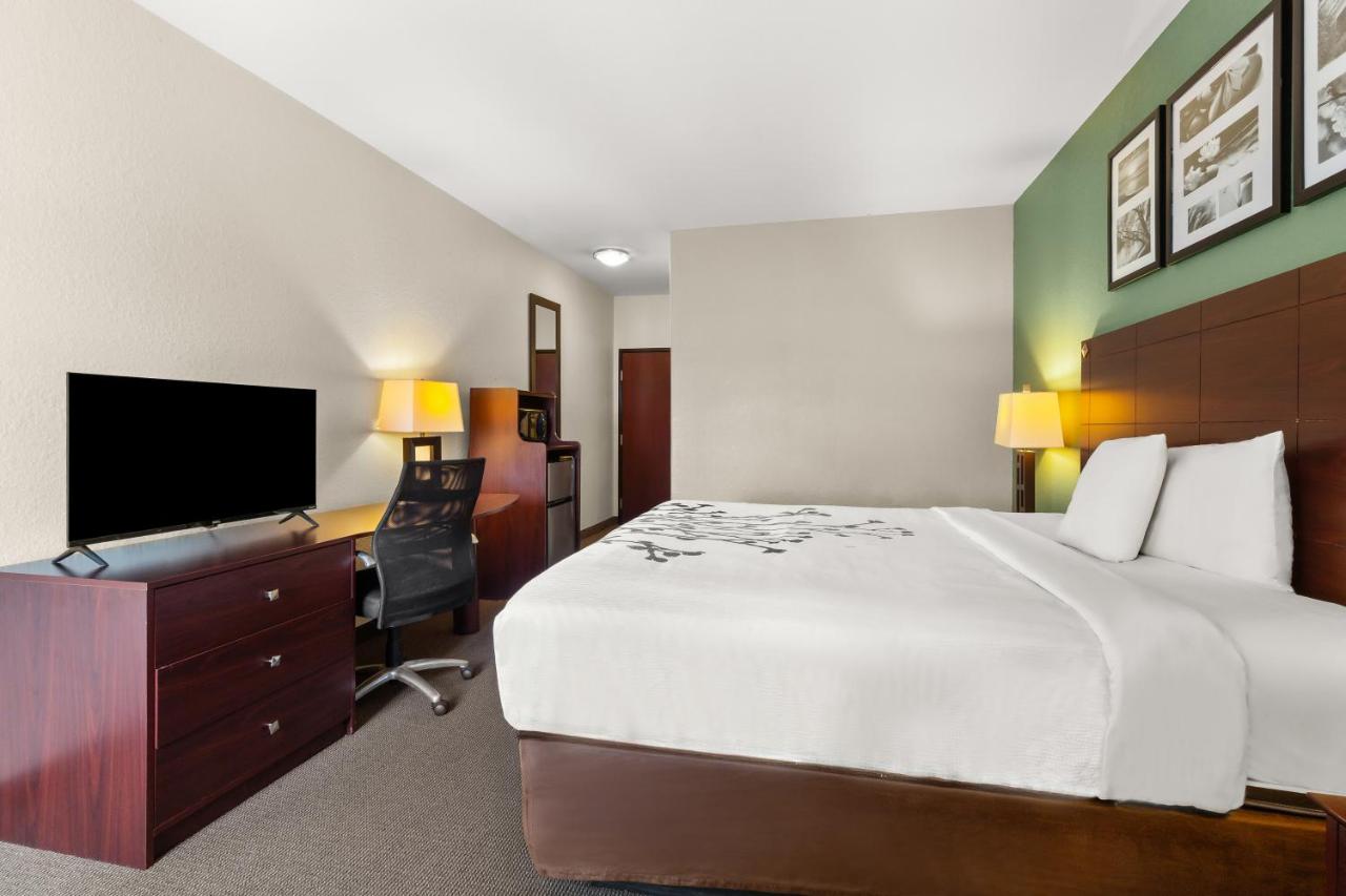 Standard King Room - Non Smoking at Sleep Inn & Suites Bush Intercontinental - IAH East