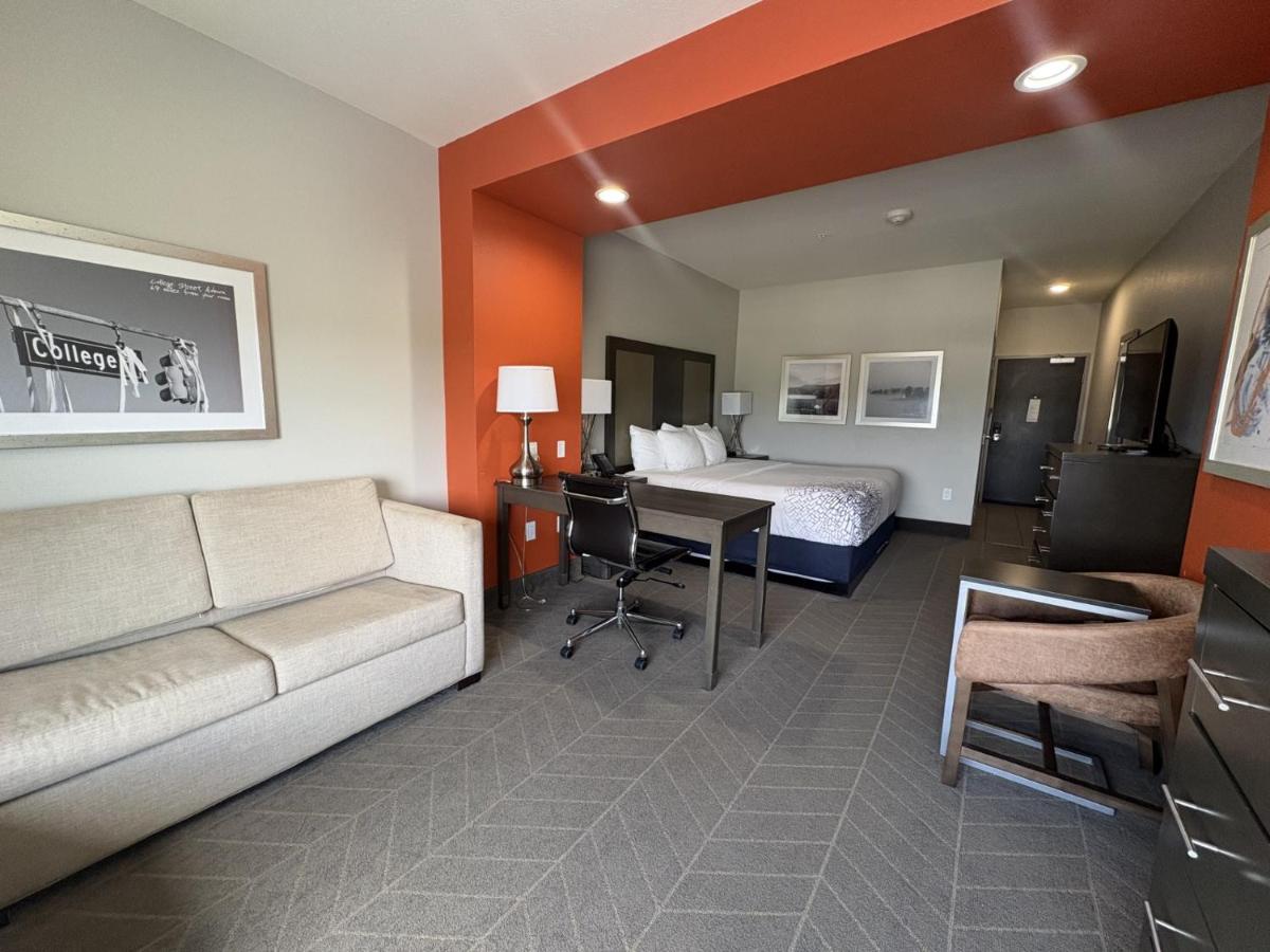 Deluxe King Room - Non-Smoking at La Quinta Inn & Suites by Wyndham Opelika Auburn