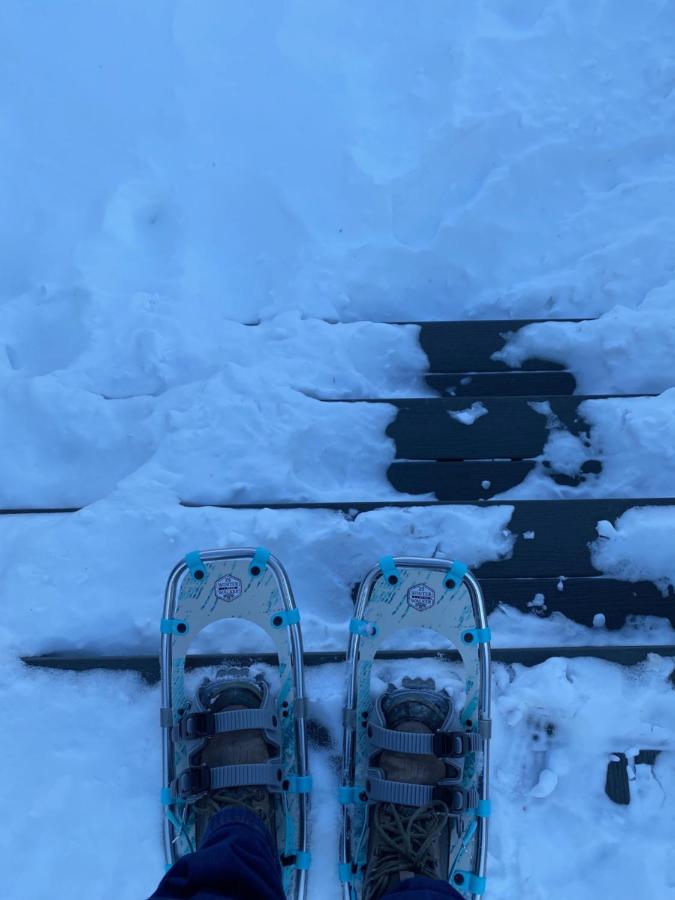 | Blue Bear inn