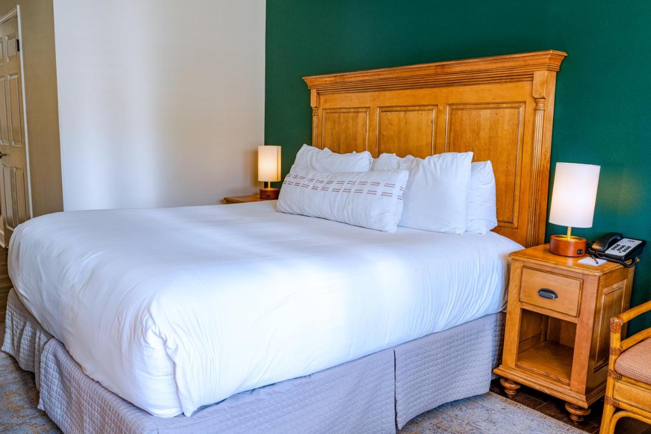 King Room with Roll - In Shower - Disability Access at Elm House Inn