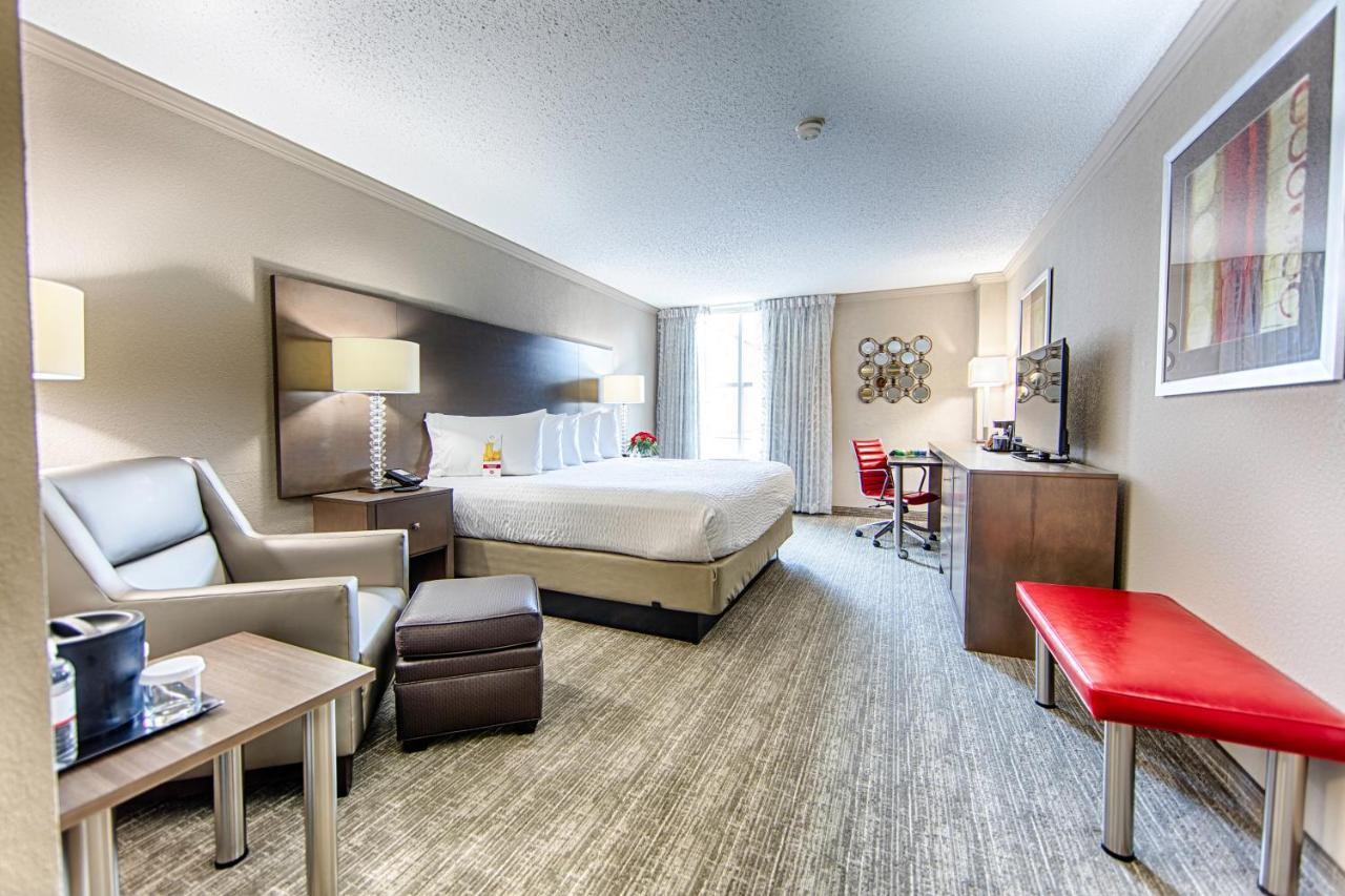Traditional King Room at Hotel Capstone