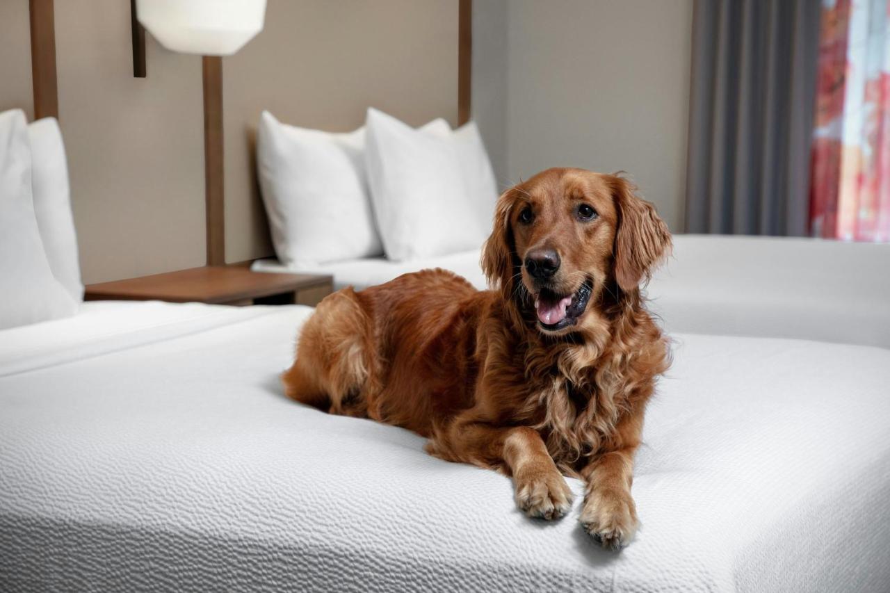 | Fairfield Inn & Suites by Marriott Sarasota Lakewood Ranch