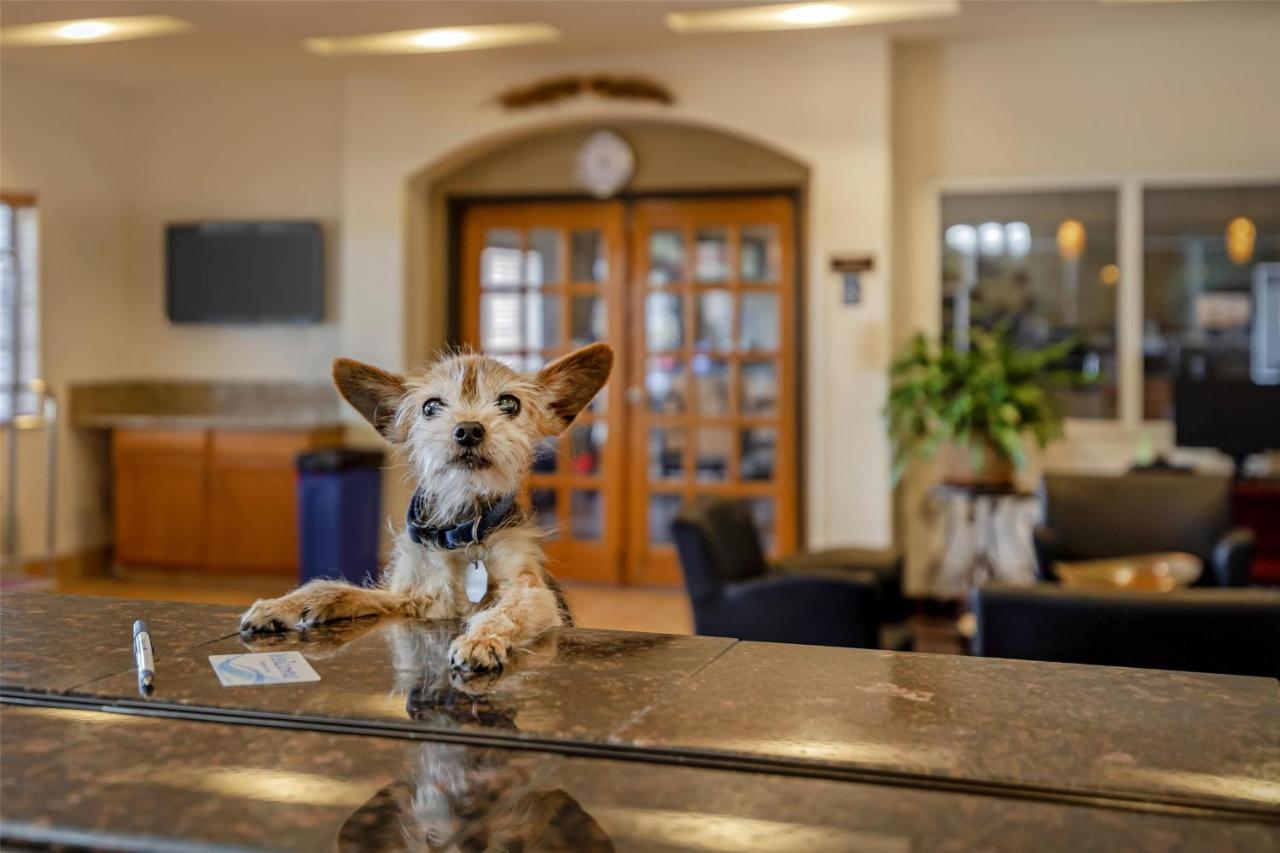 | Best Western Firestone Inn & Suites