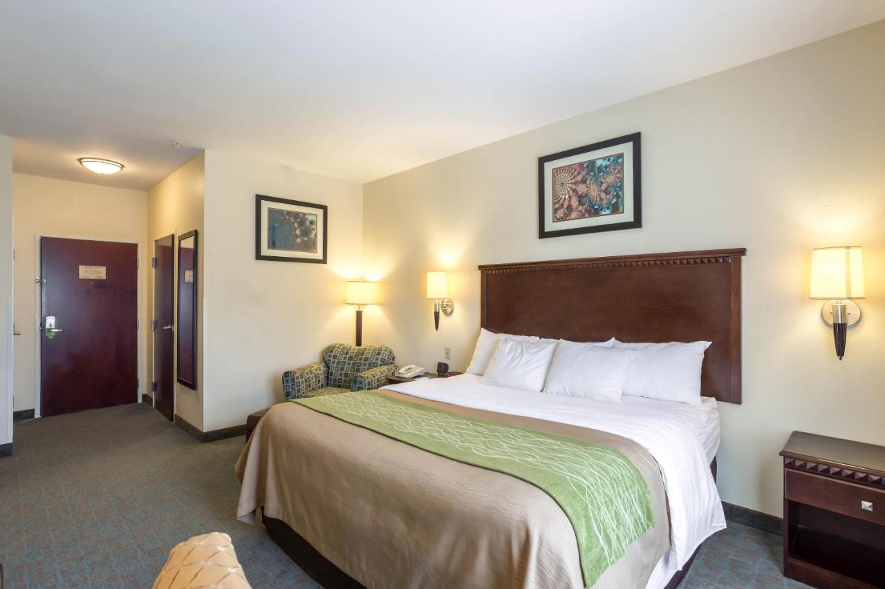 King Suite - Accessible/Non-Smoking at Quality Inn Donaldsonville - Gonzales