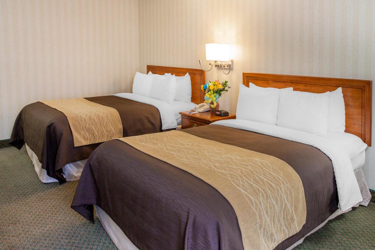 Queen Room with Two Queen Beds - Non-Smoking at Comfort Inn Pentagon City